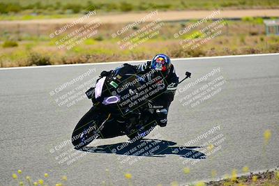 media/May-10-2024-2WTD (Fri) [[c88d7990af]]/Group C/Session 2-The Bowl/